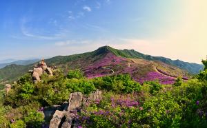 2020년 산림문화달력 5월