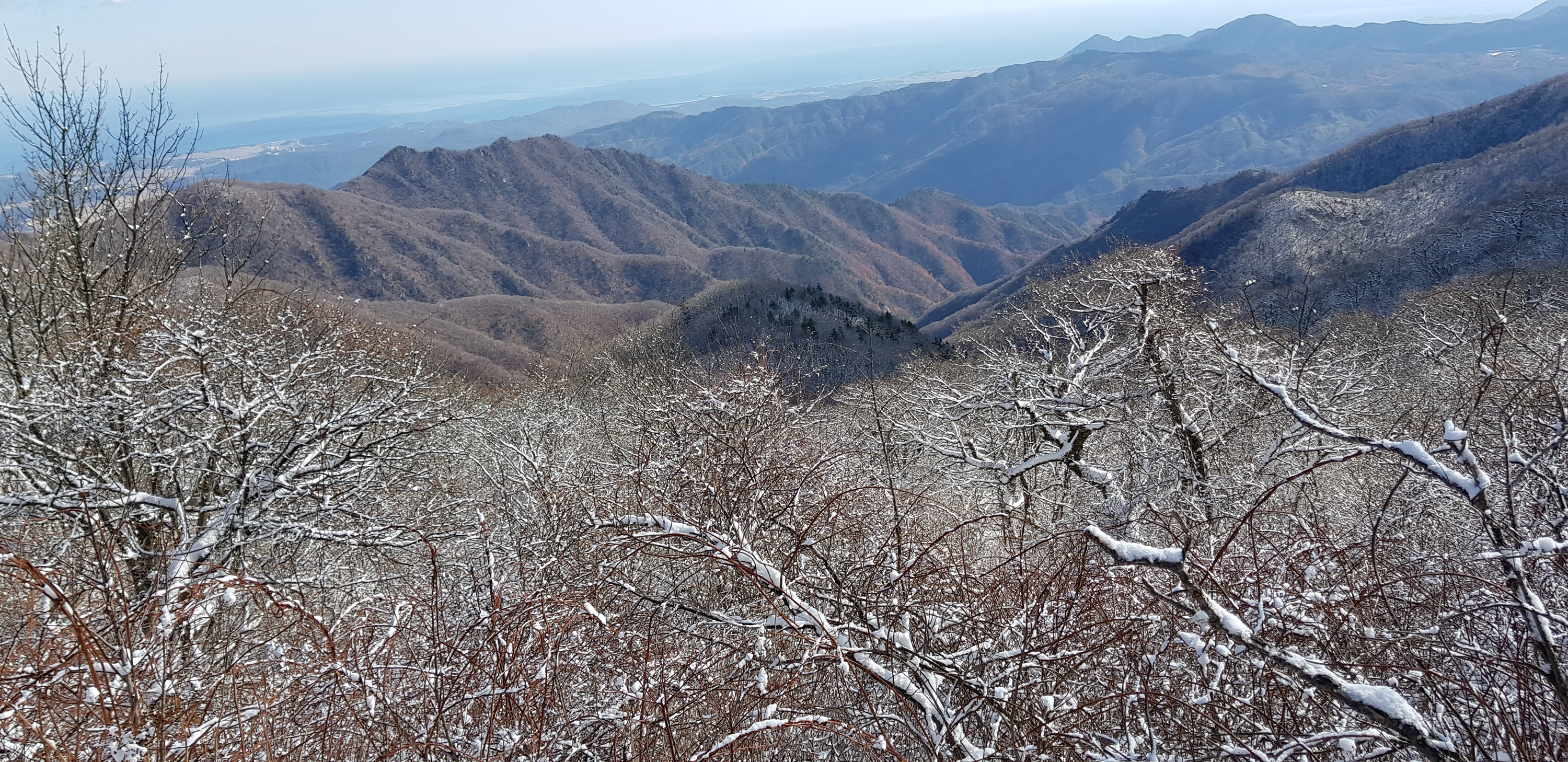 12월의 국유림 명품숲, 백두대간 최북단 ‘향로봉’ 선정 이미지1