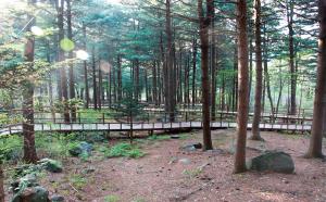 국립청태산자연휴양림, ‘숲에 사랑을 더하다’ 어린이날 행사 개최