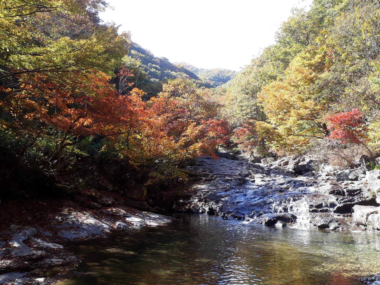 운장산자연휴양림에서 가을 오색단풍 즐겨보세요!
