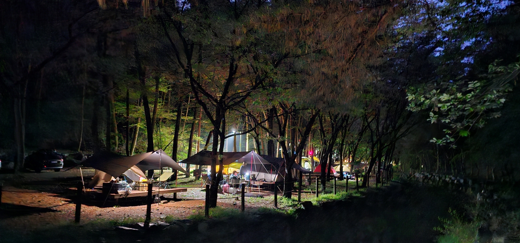 캠핑의 계절, 텐트 밖은 온통 숲! 이미지1
